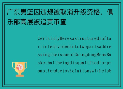 广东男篮因违规被取消升级资格，俱乐部高层被追责审查