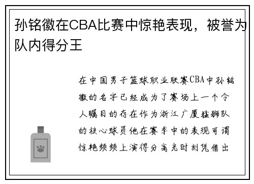孙铭徽在CBA比赛中惊艳表现，被誉为队内得分王