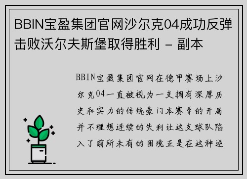 BBIN宝盈集团官网沙尔克04成功反弹击败沃尔夫斯堡取得胜利 - 副本