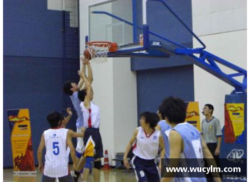 BBIN宝盈集团官网篮球场馆的巅峰对决：NBA与CBA的终极对比